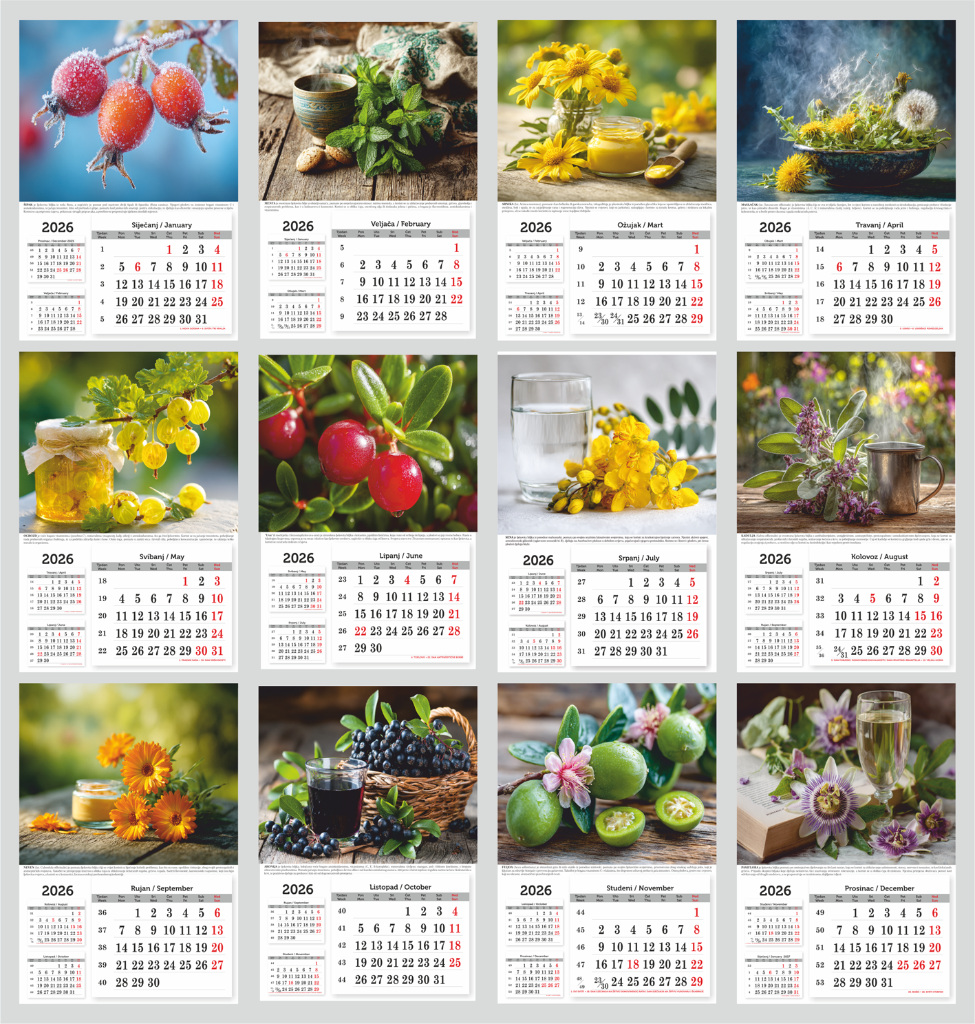 Ljekovito bilje bez rotacijskog kruga